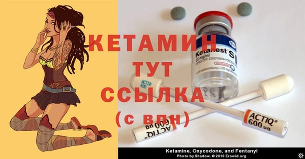крисы Новокубанск
