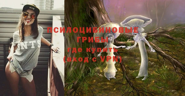 герыч Ветлуга