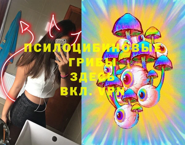 а пвп мука Няндома