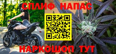 прущие грибы Бузулук