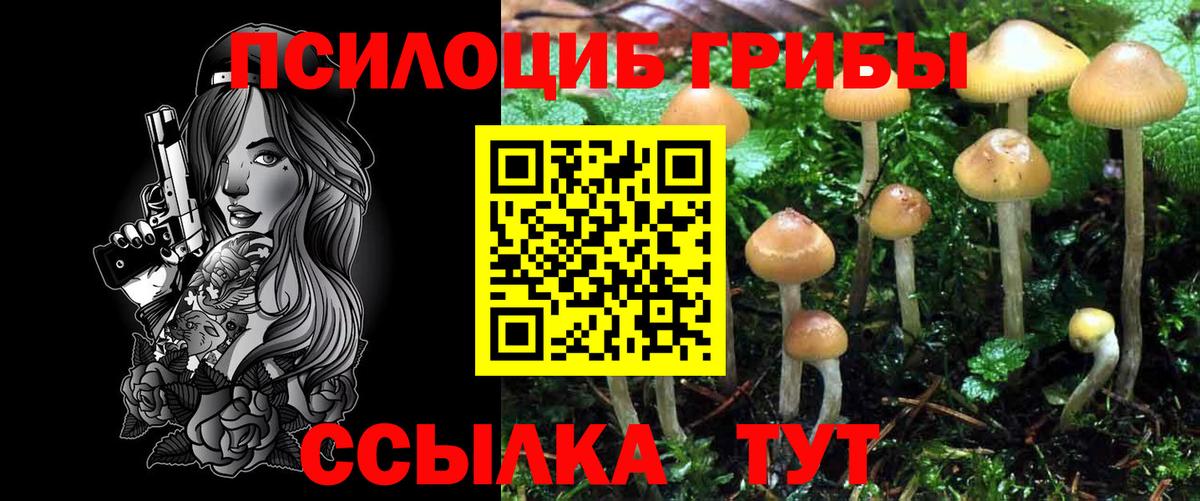 Марки  МАРИХУАНА  Вход с VPN  Alpha-PVP  ЛЁД  Плюхи  Мяу-Мяу  Cocaine  Зеленогорск  Меф  Гашиш 