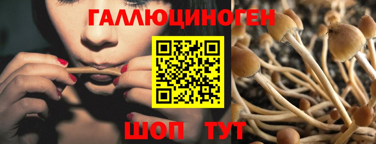 Галлюциногенные грибы ЛСД Зеленогорск